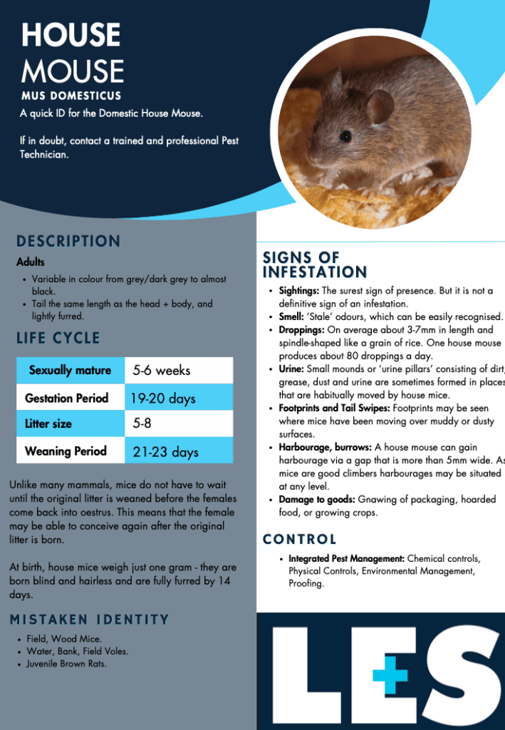 Knowledge Library - LES Pest Management