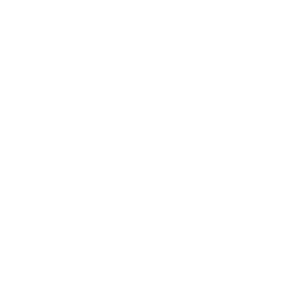 goose_white